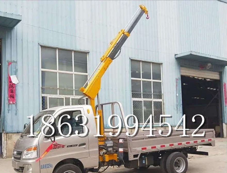 从江县车载吊机起重升降机价格仓库小型搬运车载吊机车载吊机可拆卸提升机